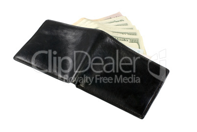 Wallet with dollars