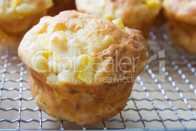 Mango Muffin