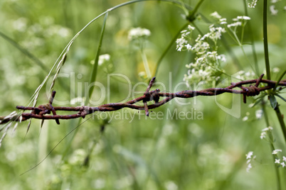 Stacheldraht