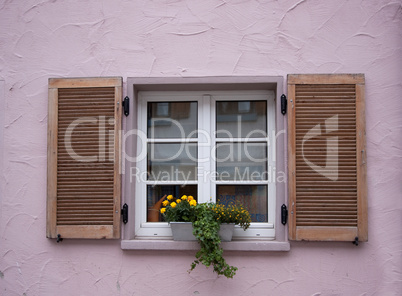 Old Windows and Shutters