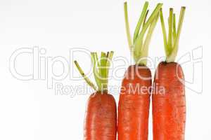 Drei Karotten