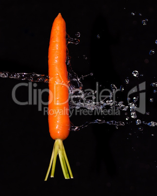 Karotte mit Wasserstrahl