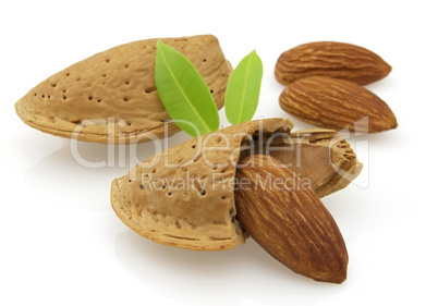 Dried almonds