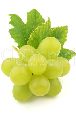 Ripe grapes