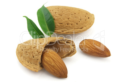 Almond