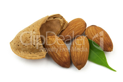 Almond