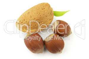Hazelnuts and almond