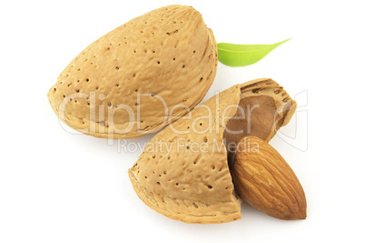 Fresh almond