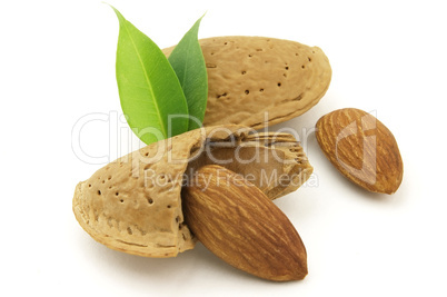 Tasty almond