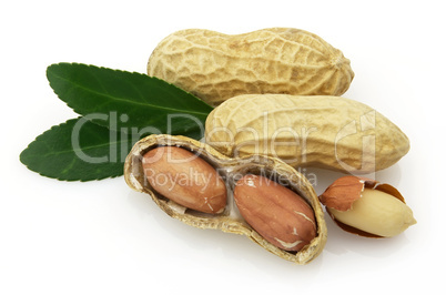 Peanuts with leaves