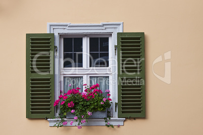 Old Windows and Shutters