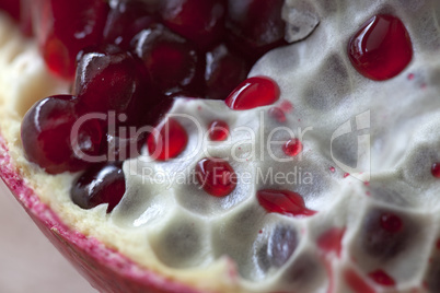 Pomegranate with arils detail shot