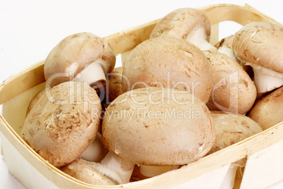 Champignons im Korb