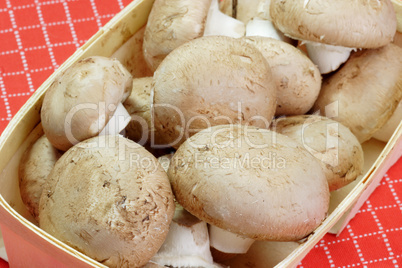 Champignons