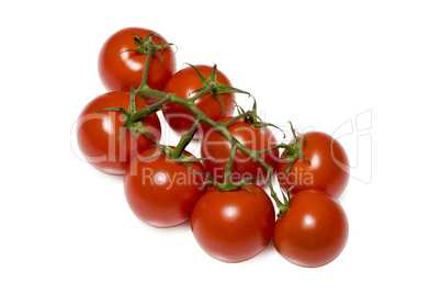 Bund Tomaten