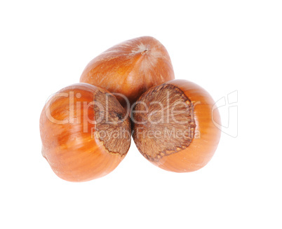 hazelnuts