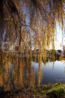 Herbstlandschaft