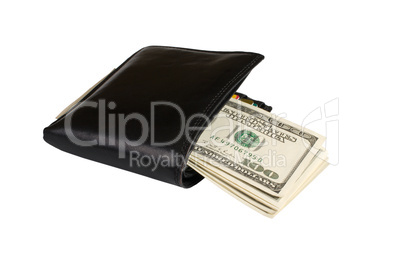 Wallet with money