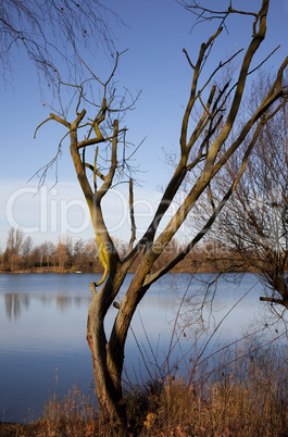 Herbstlandschaft