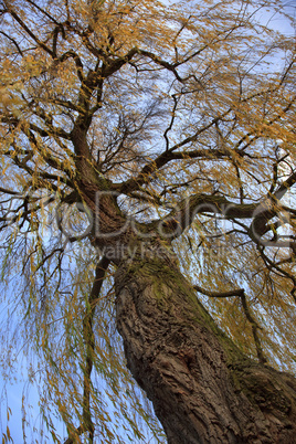 Herbstlandschaft