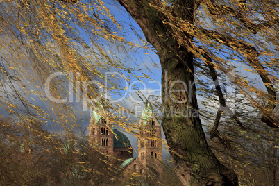 Speyer und der Dom im Herbst
