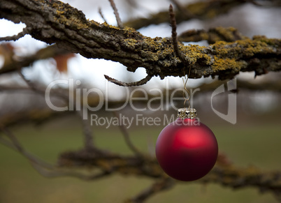 Christbaumkugel im Wald