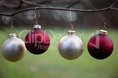 Christbaumkugeln im Wald