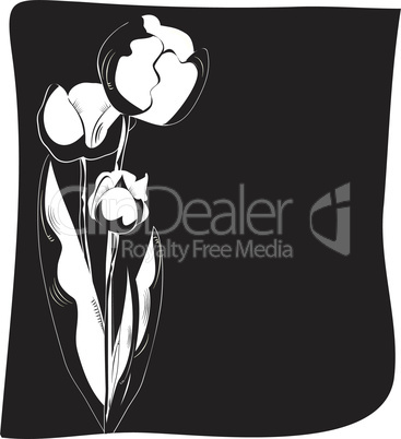 background with tulips