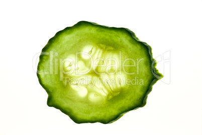 Salatgurke Salatgurke