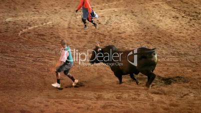Bull chasing