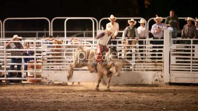 Bull riding