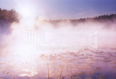 Morning fog on wild forest lake in Karelia