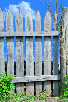 Fence and Sky