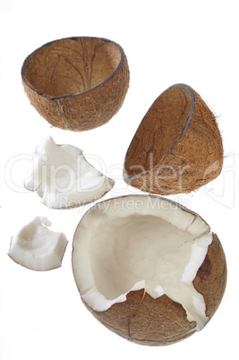 Coconut