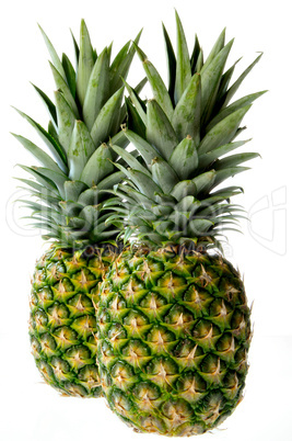 Two Pineapple