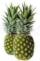 Two Pineapple