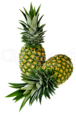 Two Pineapple