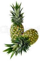 Two Pineapple