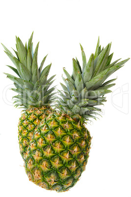 Two Pineapple