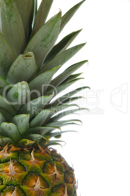 fragment Of Pineapple