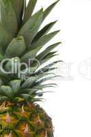 fragment Of Pineapple