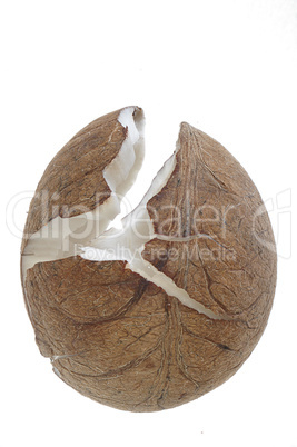Coconut without shell