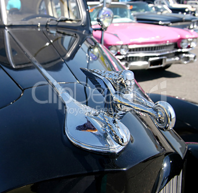classic cars. detail
