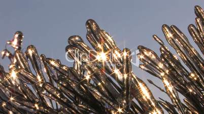 HD Sparkling frozen spruce twig in winter sunlight, closeup