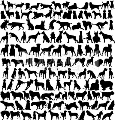 hundreds of dog silhouettes