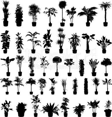 plants silhouettes set