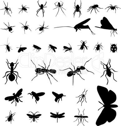 insect silhouettes collection