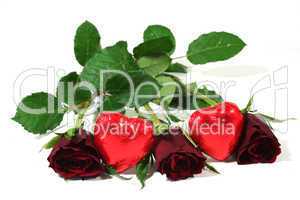 rote Rosen mit roten Herzen