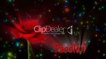 Bright red rose "Kardinal" color meaning "Passion" 4a alpha matte