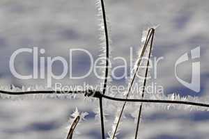 Zaundrähte im Winter mit Eisgebilden - Fence wires in winter with ice crystals